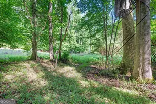 155 Aristocrat Ct, Fayetteville, GA 30215 - Photo 75
