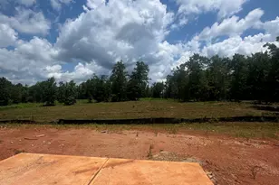 349 Andrews Mill Rd, Greenville, GA 30222 - Photo 9