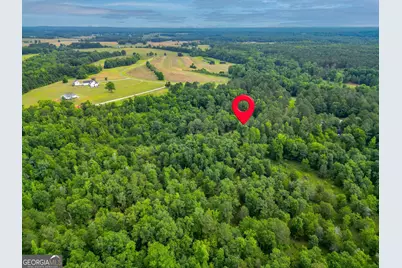 207 Steeplechase, Barnesville, GA 30204 - Photo 67