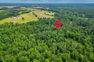 207 Steeplechase, Barnesville, GA 30204 - Photo 67