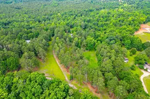 207 Steeplechase, Barnesville, GA 30204 - Photo 65