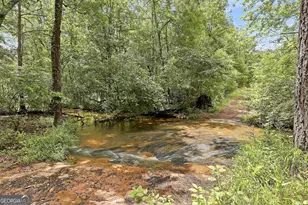 207 Steeplechase, Barnesville, GA 30204 - Photo 45
