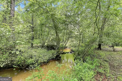 207 Steeplechase, Barnesville, GA 30204 - Photo 51