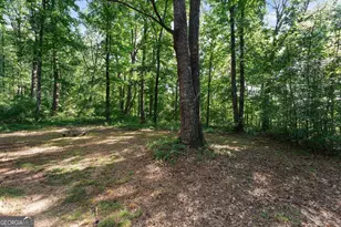 176 Murray Rd, Homer, GA 30547 - Photo 27