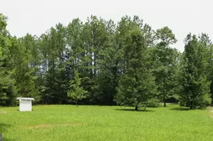 276 Warren Rd, Lyerly, GA 30730 - Photo 11