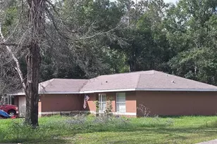 72 Guava Pass Dr, Ocklawaha, FL 32179 - Photo 3
