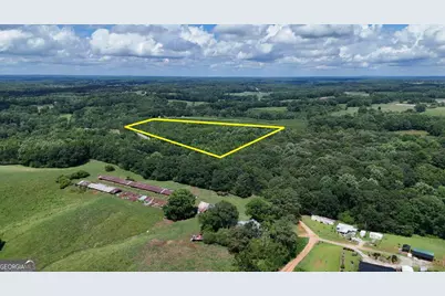 0 Stateline Road, Bowdon, GA 30108 - Photo 3