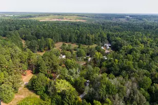 1651 Mergendollar Rd, Good Hope, GA 30641 - Photo 149