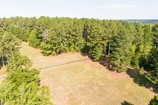 1651 Mergendollar Rd, Good Hope, GA 30641 - Photo 151