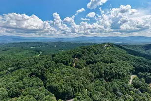 310 Hickory Fork, Blairsville, GA 30512 - Photo 65