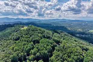 310 Hickory Fork, Blairsville, GA 30512 - Photo 67
