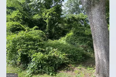 0 Dogwood North Avenue, Social Circle, GA 30025 - Photo 1