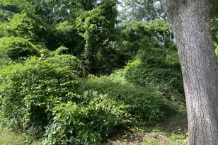 0 Dogwood North Ave, Social Circle, GA 30025 - Photo 1