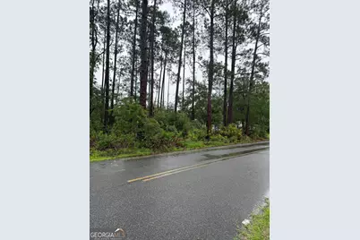 .30 Gibson Street, Nahunta, GA 31553 - Photo 1