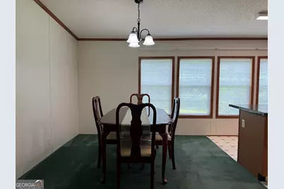 3879 E White Oak Road, Applin, GA 30802 - Photo 7