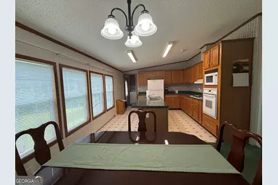 3879 E White Oak Road, Applin, GA 30802 - Photo 9