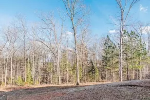 75 Creekside Ct, Forsyth, GA 31029 - Photo 31
