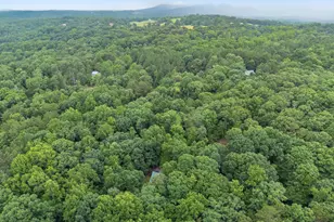 457 Old Cherokee Rd, Cleveland, GA 30528 - Photo 59