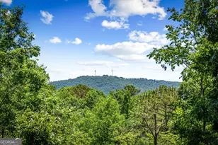 309 Elmwood Cir, Ellijay, GA 30540 - Photo 57