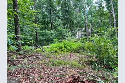 00 Shannon Drive, Dalton, GA 30720 - Photo 3
