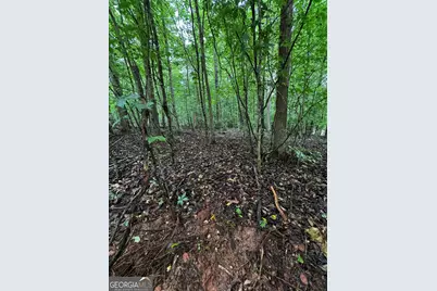 0 Wilson Bridge Road (4.78+/- Acres), Homer, GA 30547 - Photo 3