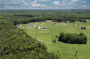 575 Elders Mill Rd, Senoia, GA 30276 - Photo 87