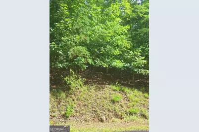 Lot 22 Meadow Brook Trail, Morganton, GA 30560 - Photo 9