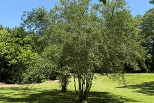 1511 W Poplar St, Griffin, GA 30224 - Photo 77