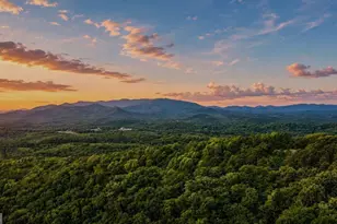 1361 Talona Mountain Rd, Ellijay, GA 30536 - Photo 7