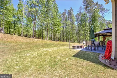 153 Carlow Court, Newnan, GA 30263 - Photo 47
