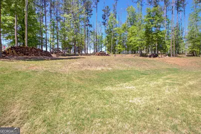 153 Carlow Court, Newnan, GA 30263 - Photo 37