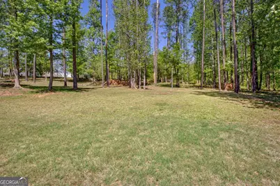 153 Carlow Court, Newnan, GA 30263 - Photo 49