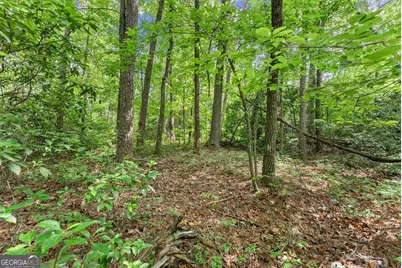 0 Sweetheart Lane, Sautee Nacoochee, GA 30571 - Photo 15