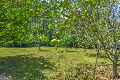 1269 Tarver Road, Davisboro, GA 31018 - Photo 65