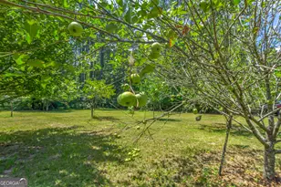 1269 Tarver Rd, Davisboro, GA 31018 - Photo 65