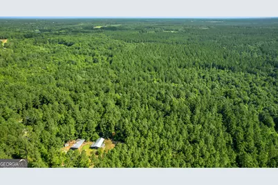 1269 Tarver Road, Davisboro, GA 31018 - Photo 13