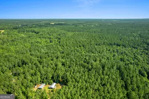 1269 Tarver Rd, Davisboro, GA 31018 - Photo 13