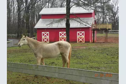 3575B Jefferson River Road #BARN APARTMENT, Jefferson, GA 30549 - Photo 21