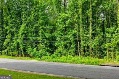 1389 Branchwood Drive, Snellville, GA 30078 - Photo 5