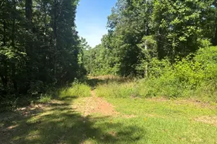 110 Pattycake Ln, Clarkesville, GA 30523 - Photo 17