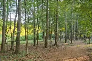 240 Victory Dashboard Rd, Bowdon, GA 30108 - Photo 11