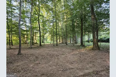 240 Victory Dashboard Road, Bowdon, GA 30108 - Photo 7