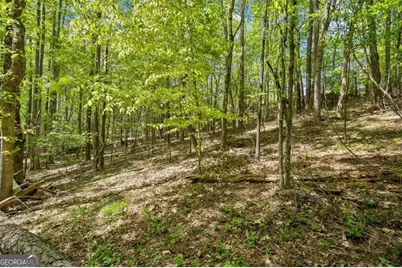 16160 Henderson Road, Milton, GA 30004 - Photo 41