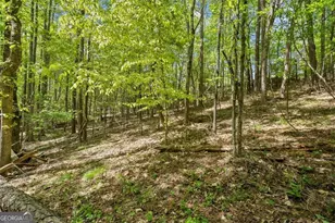 16160 Henderson Rd, Milton, GA 30004 - Photo 41