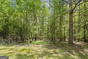 16160 Henderson Rd, Milton, GA 30004 - Photo 23