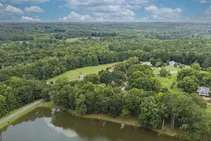 13700 Hughes Crossing, Hampton, GA 30228 - Photo 59