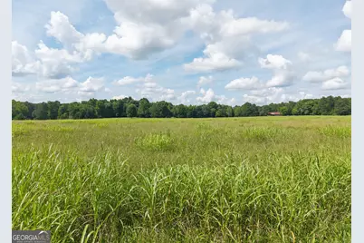 0 Thankful Road, Madison, GA 30650 - Photo 11