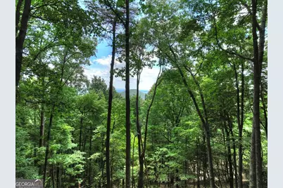 388 Walnut Ridge, Ellijay, GA 30536 - Photo 3