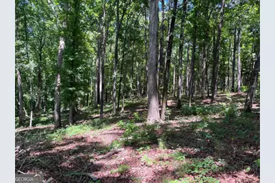 Lots 1 &amp; 2 Pullman Lane, Greensboro, GA 30642 - Photo 3