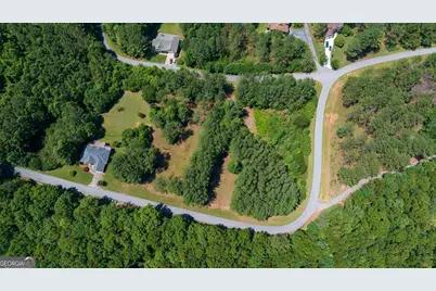 Lot 20 Loftis Mountain, Blairsville, GA 30512 - Photo 1
